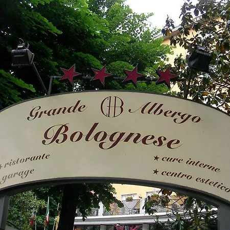Hotel Grand Bolognese 3*